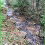 Mountain Creek Flows by a Number of Our Campsites