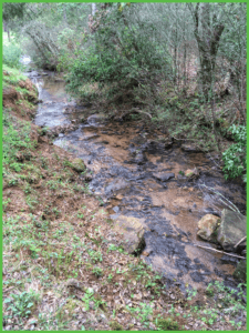 Mountain Creek Flows by a Number of Our Campsites