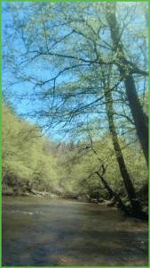 Beautiful Carolina Blue Sky Over the First Broad River