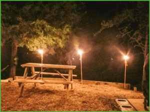 Picnic Under the Lights at Grand View Campground
