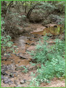 A Stream for Fun and Learning at Grand View Campground